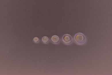 bamseoeje-klar-10-mm-til-paasyning