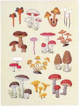Broderikit med svampe