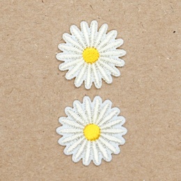 Lysegule Margueritter