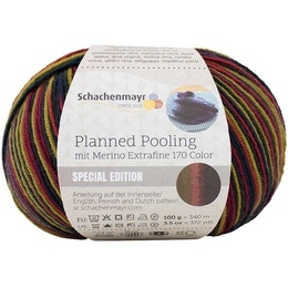 Garn Planned Pooling Merino Extrafine 83 Autumn Stripes