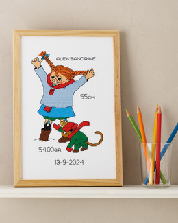 pippi-i-sneen