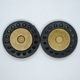 Magnetlukninger i sort