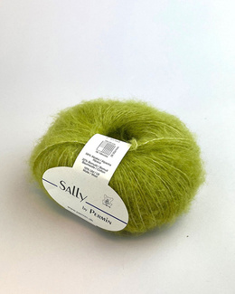 Garn Sally 882206 Acid Lime