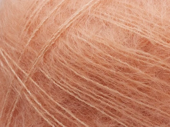 tilia-341-winter-peach