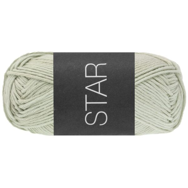 star-108-salvie