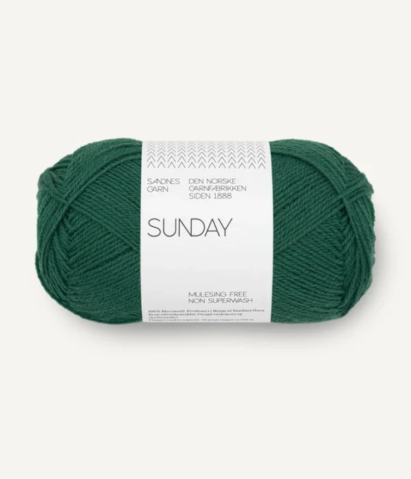 sunday-7772-rainforest