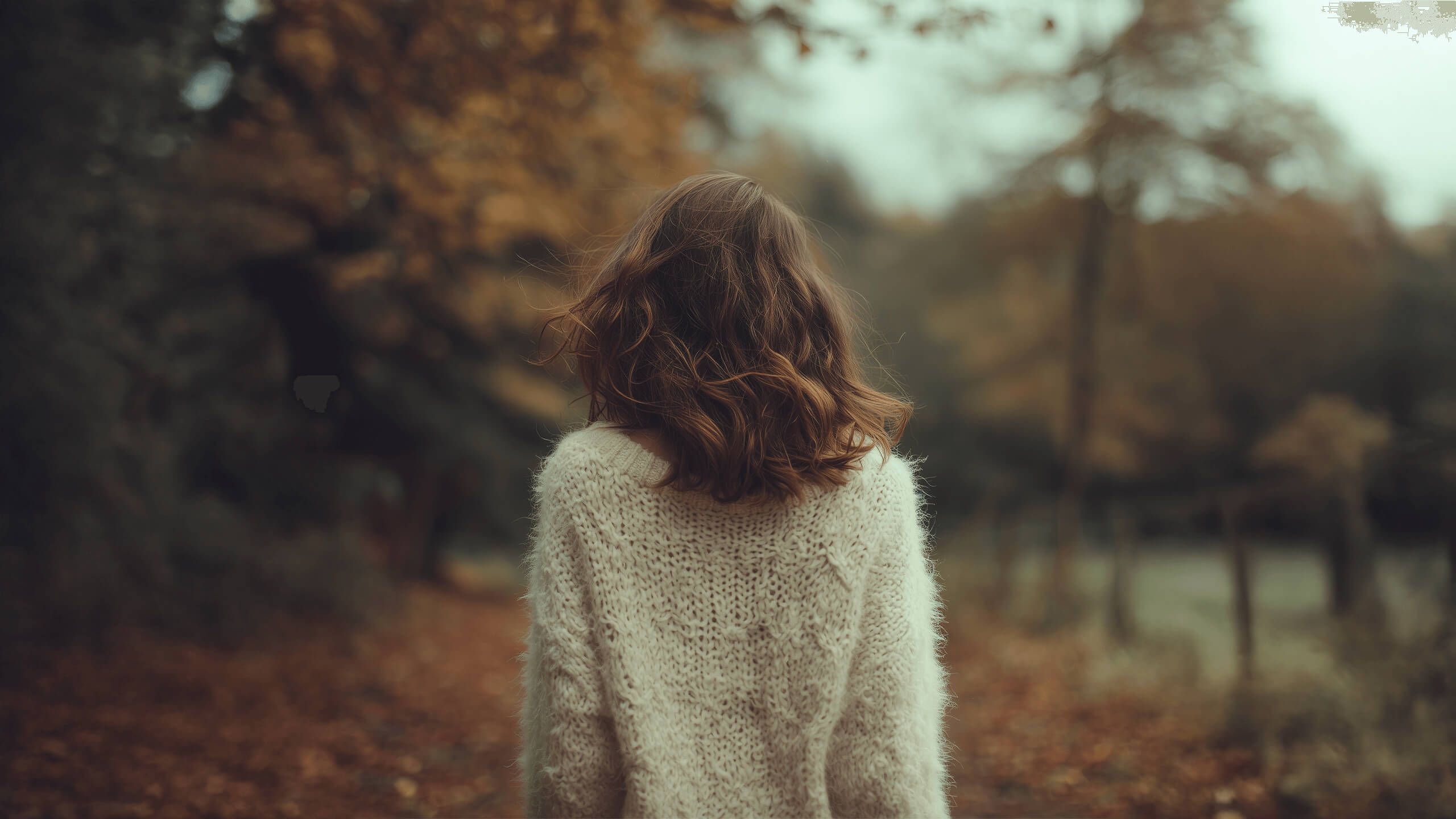 Colorful yarn collection