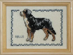 boelle