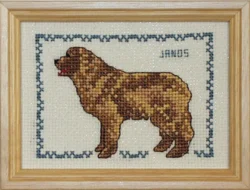 janos