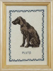 pluto