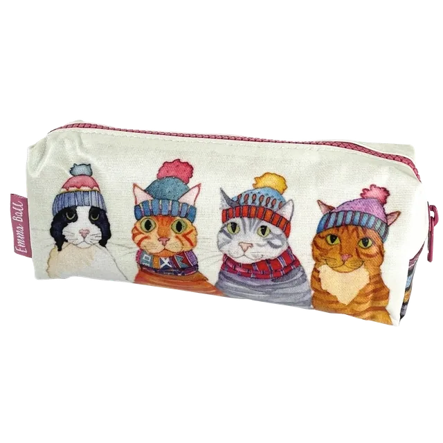 Cats in Hats penalhuset set forfra med hele kattemotivet